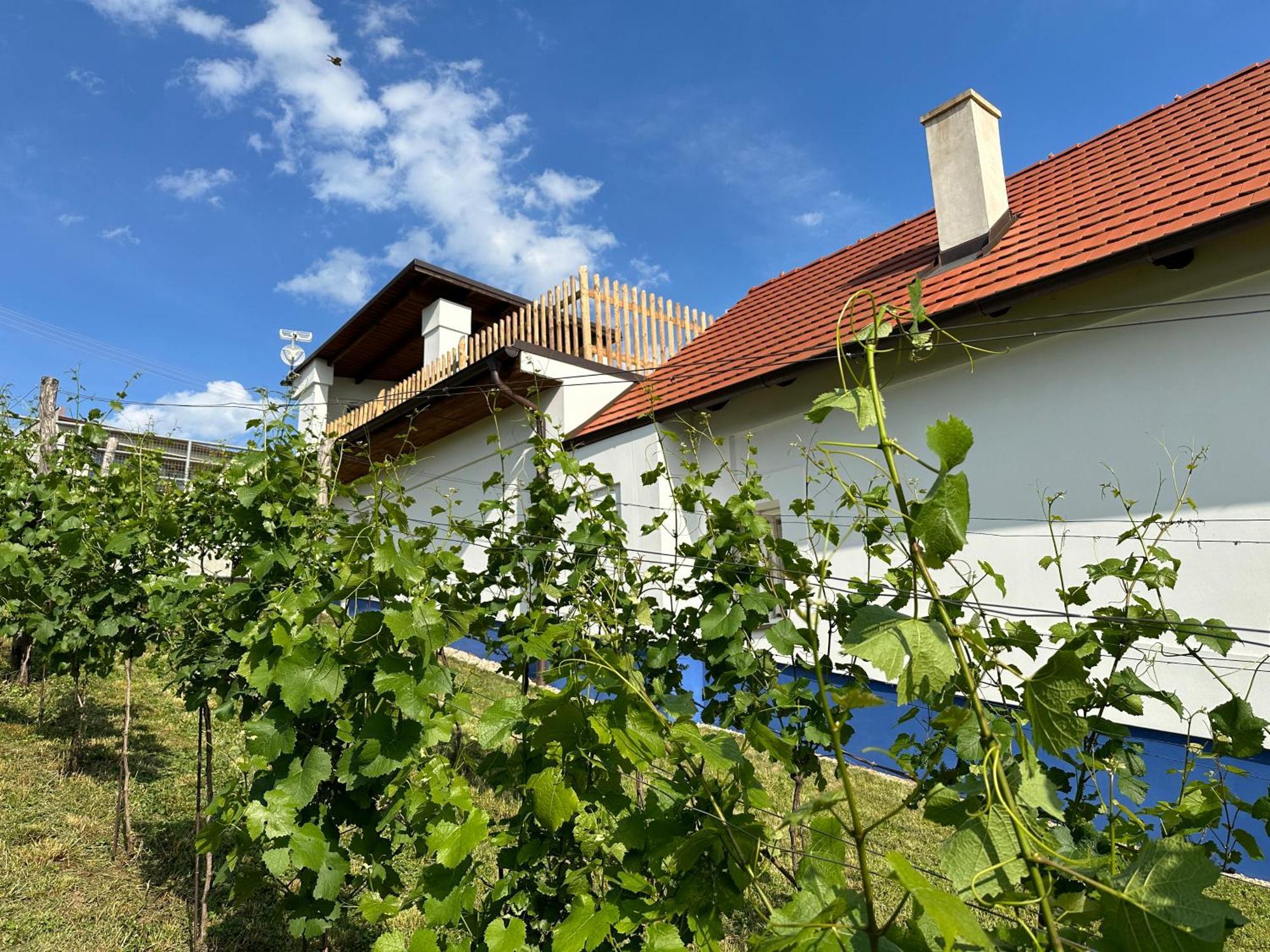 Nad Slováckým sklípkem Tupesy Exterior foto